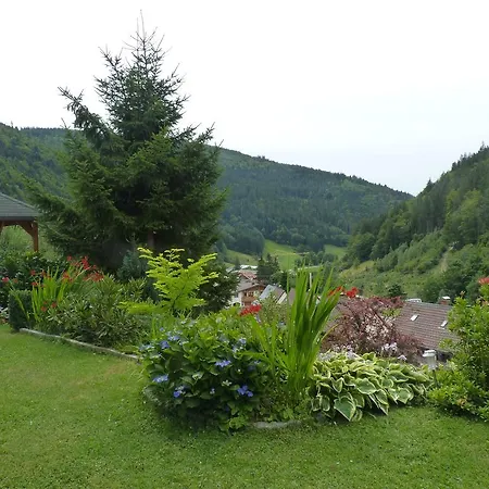 Haus Zur Eule Todtnau