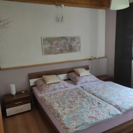 Haus Zur Eule Appartement Todtnau