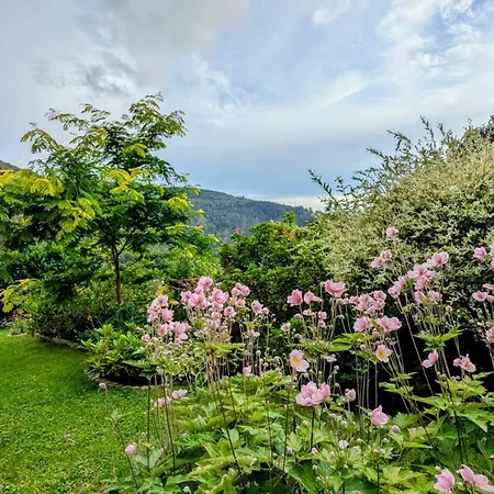 Haus Zur Eule Appartement *