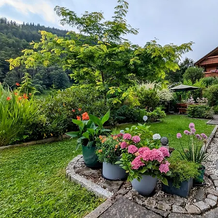 Haus Zur Eule * Todtnau