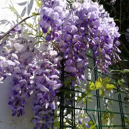 Appartamento Haus Zur Eule Todtnau