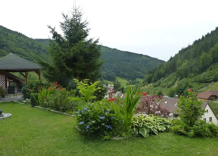 Haus Zur Eule Todtnau