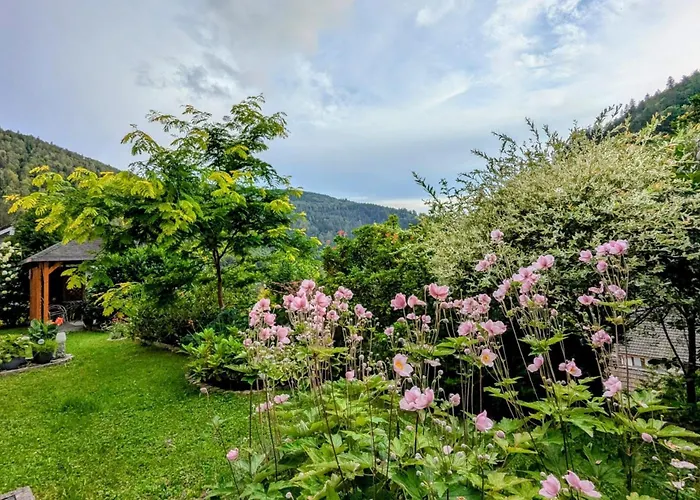 Haus Zur Eule Lägenhet *