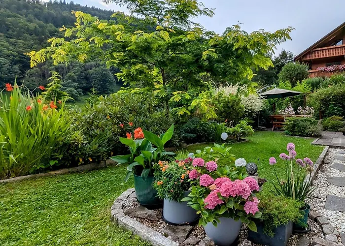 Haus Zur Eule * טודנאו